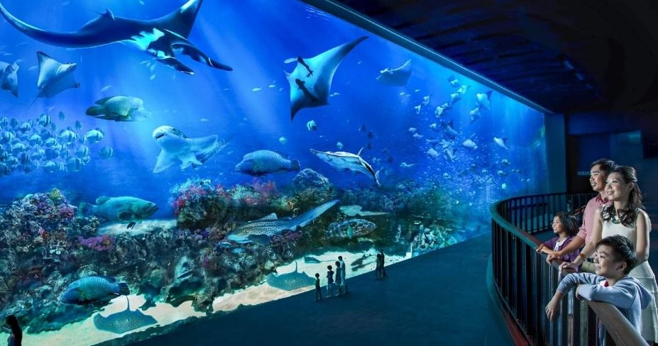 SEA Aquarium